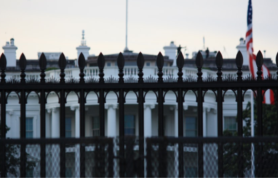 ANGON forms editor interface with drag and drop elements